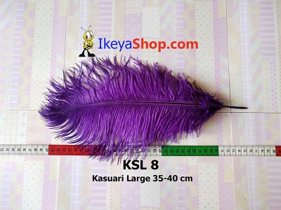 KSL 8  large2